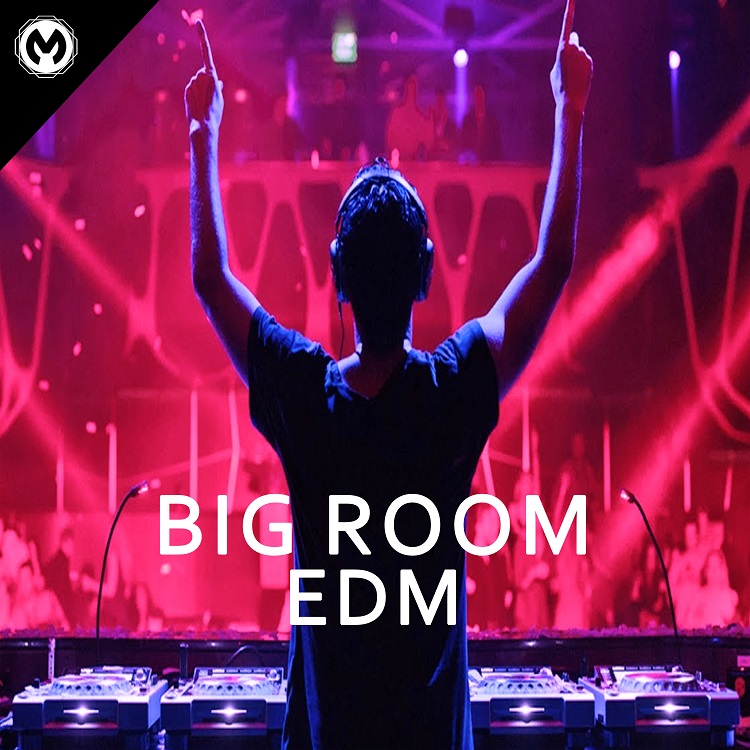 Big Room EDM